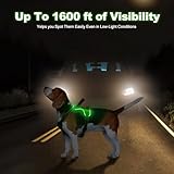 MASBRILL Leuchtgeschirr für Hunde Aufladbar, LED Hundegeschirr Verstellbar Reflektierende Brustgeschirr Beleuchtetes Hundegeschirr (Grün, XL)