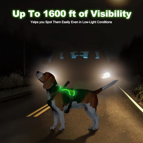 MASBRILL Leuchtgeschirr für Hunde Aufladbar, LED Hundegeschirr Verstellbar Reflektierende Brustgeschirr Beleuchtetes Hundegeschirr (Grün, XL)