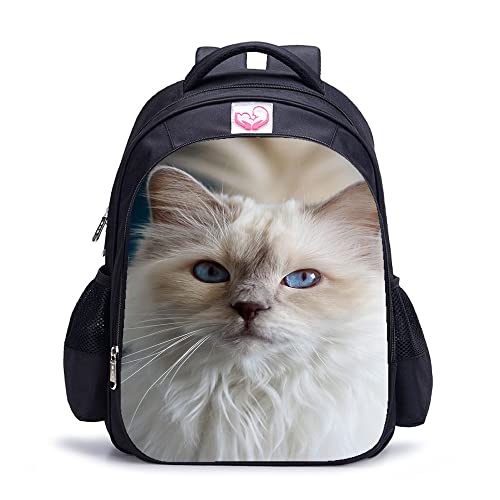 Sac à dos imprimé chat pour l'école et les sorties - Cartable 3D 41cm confortable au quotidien