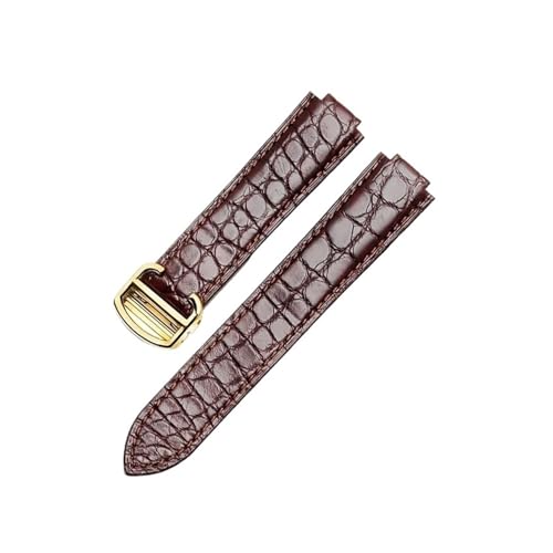 JeBG AQ[^[U[EHb`ohAu[o[ARxbNXU[EHb`XgbvijpjA20m