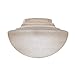 Fanimation G2TST Myfanimation Globe Glass Twist & Lock, Tea Stain