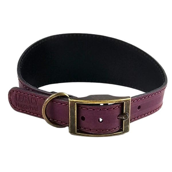 HugglePets Leather Hound Dog Collar (Merlot, Medium)