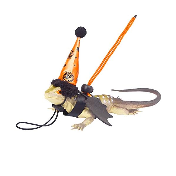 Adoggygo halloween bearded dragon lizard leash harness hat set - bearded dragon clothe halloween pumpkin hat + 3 pack reptile harness leash for bearded dragon lizard reptile (halloween) - image 5