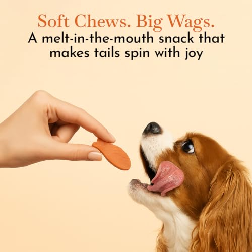 Image of PETS EMPIRE O'Dog Fish Shape Salmon Fillet, Healthy Dog Treats, Chewy Dogs Bites for Training and Feeding, Made with Real Salmon, Non-Vegetarian Pup Snacks for Dogs, Puppies - 100g