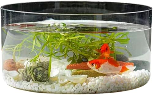 Klivex Aی^AnCvX`bNAANAϗtAAeAe[uAɔ召rO[vX`bNJϏ܋ (傫Ȋ)