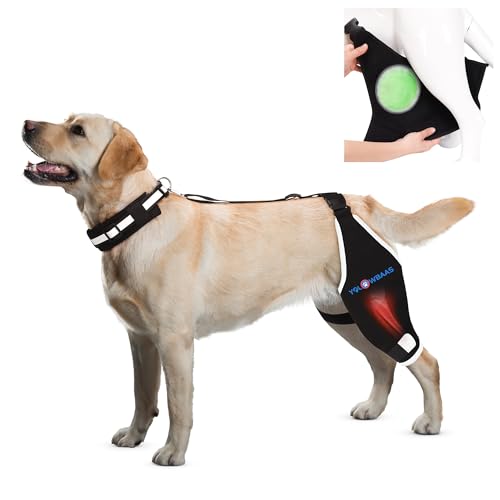 yolowbaas Dog Knee Brace for Torn ACL Hind Leg Support with Hot/Cold Compress, Adjustable Dog Hip Brace for ACL Tear Back Leg, CCL, Luxating Patella, Hip Dysplasia, Support for Knee Caps(Left Leg,XL)