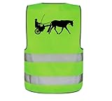 Sicherheitsweste, Warnweste, Sichtbarkeit im Dunklen, Reiten, Hund, Gassi, Joggen, Sicherheit, PSK Petfashion, Leuchtweste, reflektierende Weste, Mantrailer, Mantrailing, Mantrailerin, Pferd, Kutsche, Einspänner