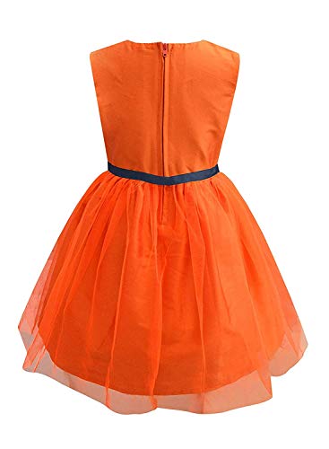 Image of A.T.U.N. (All Things UBER Nice) Girls Fit and Flare Embroidered Sleeveless Knee Length Dress for Party and Special Occasions