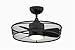 Fanimation FP8519BL Henry Fan-Light Kit, Black 14.33x22.09x22.09