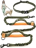Pet Dreamland Hands Free Dog Leash for Running Medium to Large Dogs - Professional Shock Absorbing Bungee Harness - Reflective Dog Walking Waist Belt Leash