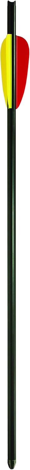 Exclusive Daisy Youth Archery Target Bolts, 16 (969002-301) New Arrivals Daisy Youth Archery Target Bolts, 16 (969002-301)
