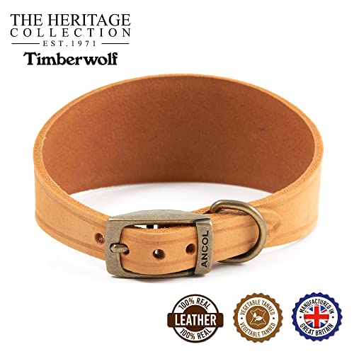 Ancol Timberwolf Whippet-Halsband, Leder, senffarben für Halsumfang 30–34 cm