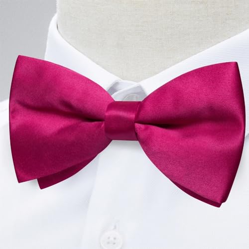Conjunto de moño, pañuelo y gemelos para hombre miniatura 6