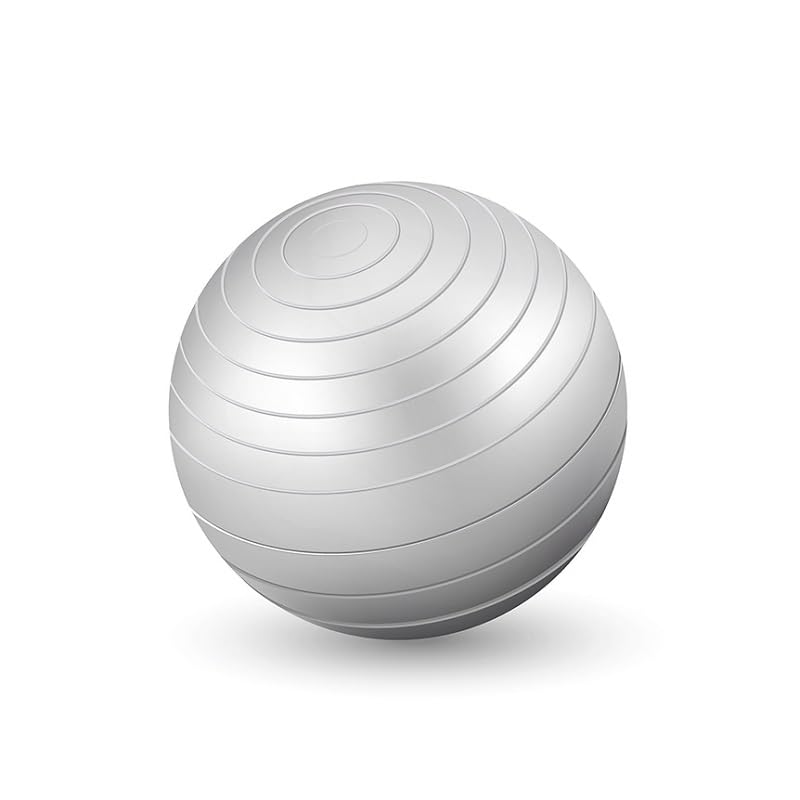 Bola Sui&ccedil;a para Pilates Exerc&iacute;cios de Gin&aacute;stica 65cm Western FIT-16 (Cinza)