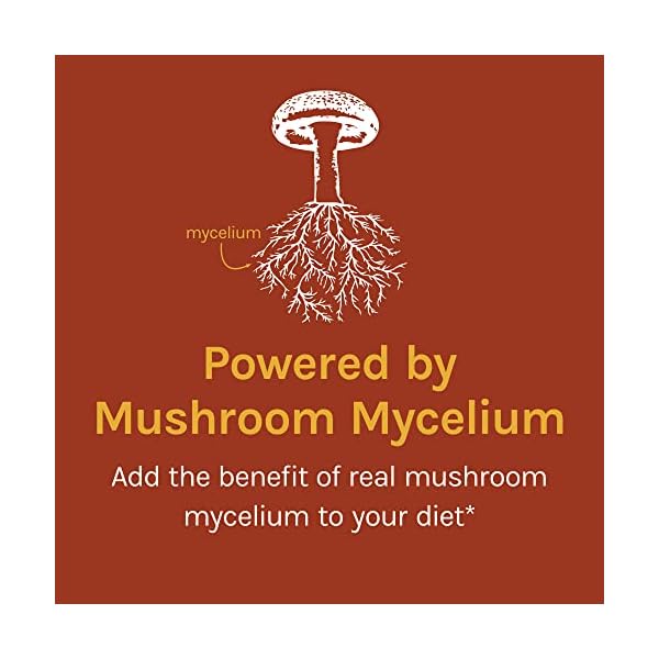 Mushroom Breathe In Oxygen at Francisco Carson blog