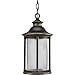 Progress Lighting P6502-108 Reside Collection 1-Light Hanging Lantern, Oil Rubbed Bronze