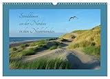 Sanddünen an der Nordseeküste in den Niederlanden , von Autor(in): Claudia Evans