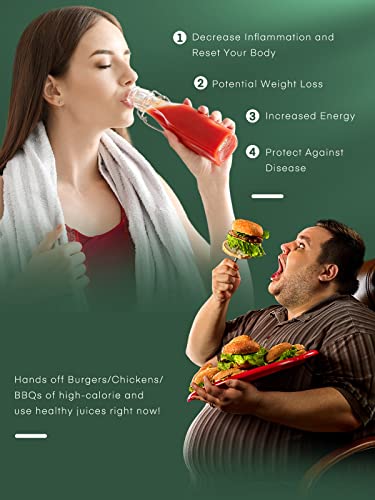 Juicer Machines, Housnat Professional Celery Slow Masticating Juicer Extractor Easy To Clean, Cold Press Juicer With Quiet Motor And Reverse Function For Fruit & Vegetable, Brushes & Recipes Included, Black #TOP6