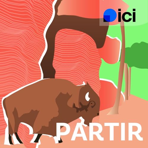 Comme dans le Colorado avec des bisons : nos conseils pour un week-end d&eacute;paysant en Moselle !