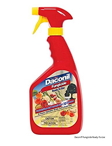 Central Garden Gulfstream Gardentech Daconil Fungicide Rtu Spray by CENTRAL GARDEN GULFSTREAM - Image 2