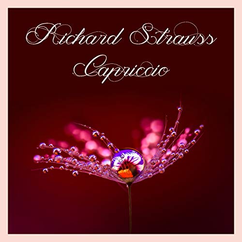 Capriccio, Op. 85, Scene 8 - 9: "Welch' köstliche Begegnung!/Wir