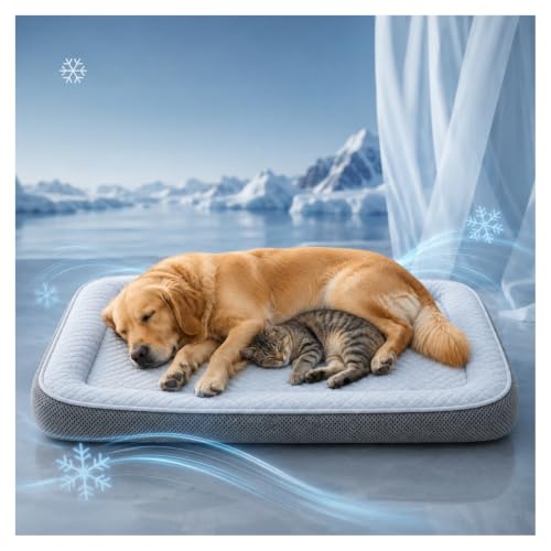 Generisch Premium Kühlkörbchen für den Sommer, Atmungsaktive Kühlmatte für Hunde & Katzenmit mit 3D-Mesh-kühlmatte, Waschbar & Rutschfester, Weichhe Hundebetten für Hunde & Katzen,Grau:S