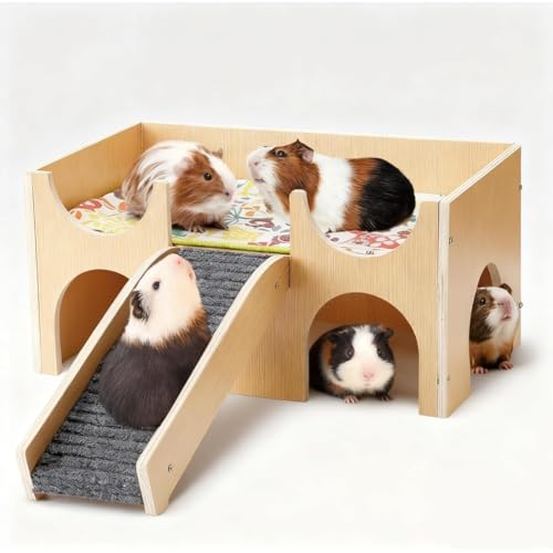 Fiozwea nX^[nEXABƁAؐybgnEXAETMAnlY~AbgpP[WA^Ai1KājA邢F̖ؐAO\ȊKit