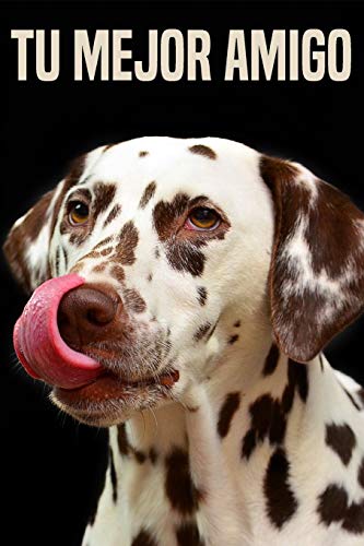 TO MIJOR AMIGO: CUADERNO | 110 pages | SIZE 6 'x9' |este increíble amigo te inspire a descansar, relajarte y escribir para reflexionar, planificar o escribir citas o poemas favorito