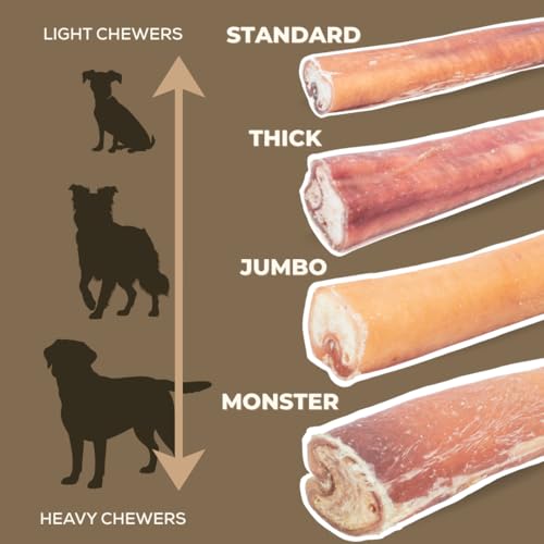 Bully Bunches Premium (6" Standard - 5 Pack) Odour-Free, Consistently Sized Bully Sticks for Small & Medium Dogs & Puppies, Long-Lasting Oral Care Chews, All-Natural Single-Ingredi image 4