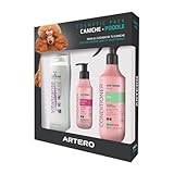ARTERO