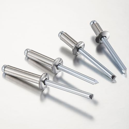 Image of Wensilon (100Pcs)1 /4 inchx5 /8 inch stainless steel blind pro Rivets,Steel handle and stainless steel mandrel