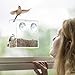 Wild Birds of Joy Window Bird Feeder with Strong Suction Cups and Seed Tray with Drain Holes, Small, Compact, Clear Acrylic, Easy Clean, Outside Feeders for Transparent Viewing