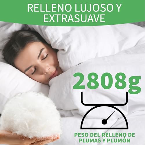 Miniatura 2 de Welldora Edredón Invierno Verano De Plumas Para Cama De 180 X 200 100 Edredón Nórdico De Plumas Y Plumón Extrasuave Médicamente Probado, Oeko-Tex, Hipoalergénico Certificado Rds 260 X 240 Cm