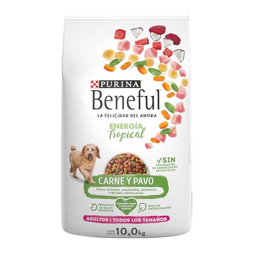 Lista de Croquetas para perro , tabla con los diez mejores. 20 Lista de Croquetas para perro , tabla con los diez mejores. 20