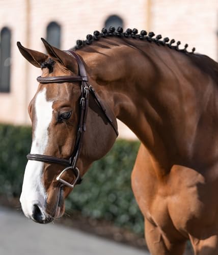 Bello-Equine Fancy Stitch Havana Brown Bridle with Removeable Flash - Size Full