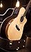 Washburn Comfort G25SCE Grand Auditorium Cutaway Acoustic Electric Guitar (WCG25SCE-O)