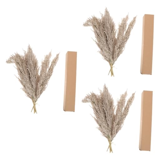 Ramo de Flores Secas Natural Alipis 3 Sets para Decoración miniatura 1