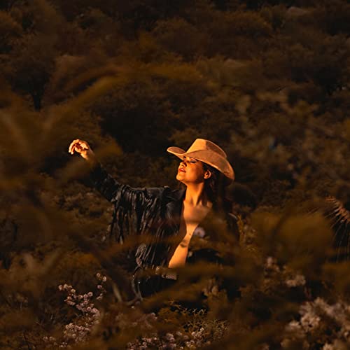 Lisianthus Women Men Western Cowboy Cowgirl Hat Outdoor Felt Wide Brim Hat Star-Beige #TOP6