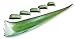 3 Pounds Organic Extra Large Aloe Vera Barbadensis Green Leaves