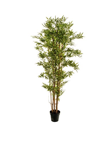 Evergreen Scientific Bambú Artificial Verde 180 cm