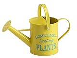 Laila and Lainey Small Indoor Watering Can - Housewarming Gardening Gift for Women - Decor: Wet My Plants Quote - 1.6 L - Great for Your Best Friend - Yellow Galvanized Metal
