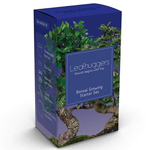 Bonsai Kit Cultivo Interior Kit Bonsai Arbol Natural Semillas Bonsai Plantas Naturales...