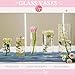 5pcs Glass Vase Cylinder Vases for Centerpieces Small Flower Glass Clear Vases Home Decor Centerpiece Table Flower Vase Decorations for Wedding Decoration＆Holiday Mixed Sizes Tall