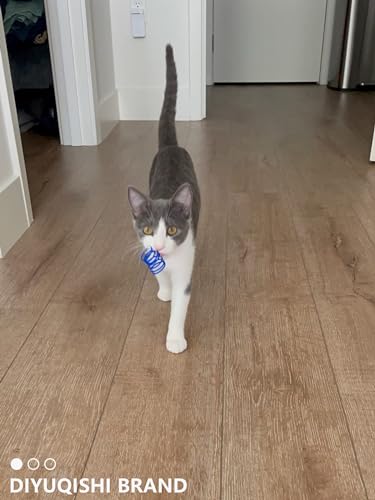 DIYUQISHI Pacote de 19 peças para gatos, 5 bolas de sino, 10 bolas de pelúcia e 4 molas para gatos e