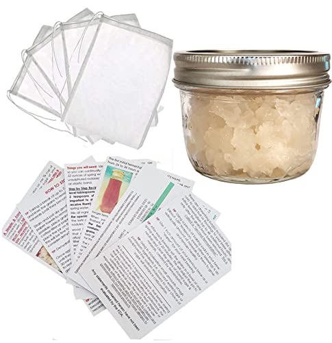 One Third Cup Original Florida Sun Kefir Live Water Kefir Grains PLUS 4 Brewing Bags