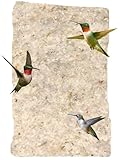 JCS Wildlife Hummingbird Nest Material Refill - Wild Bird Nesting Cotton Material - Great for Nest Building for Hummingbirds, Goldfinches and Other Birds
