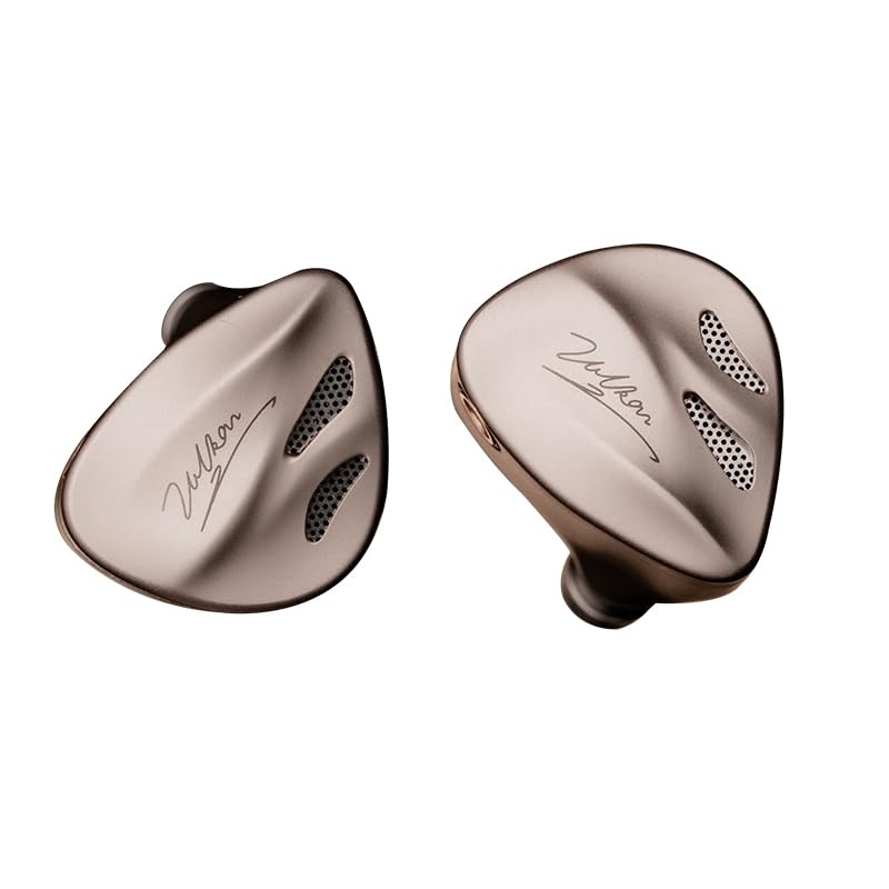 Amazon.com: LEAUDIO DUNU VULKAN 2 Wired in-Ear Earphone 8-Driver