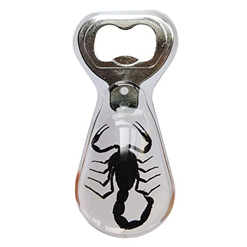A fully functional bottle opener with a real preserved black scorpion encased inside — equal parts conversation starter and bar tool.