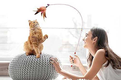 https://m.media-amazon.com/images/I/41CSLWi2quS._SL500_.jpg