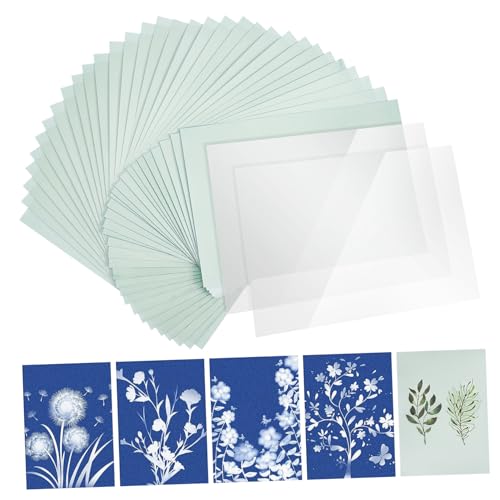 Papier cyanotype activités créatives en famille et impressions de feuilles de nature au soleil